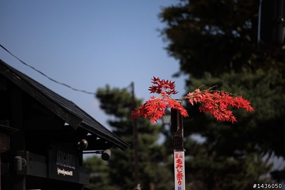京阪神奈旅拍分享