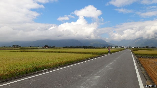 20121116伯朗大道+天堂路 原來池上這麼美