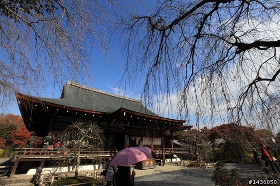 京阪神奈旅拍分享