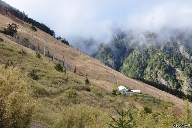 20121118~20 雪山東峰主峰~在半夜三更的黑森林hold不住了之旅~