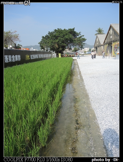 【Nikon P7700】 一起來蓋大樓!!