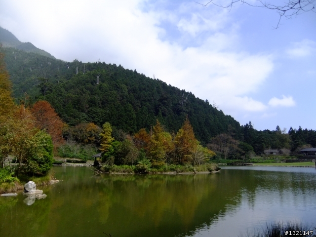 2012明池楓情