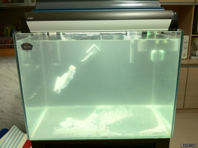 玩海水缸的同好好像真的不多