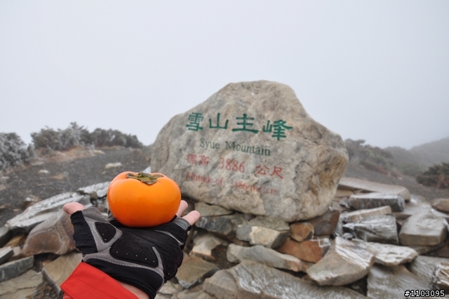 20121118~20 雪山東峰主峰~在半夜三更的黑森林hold不住了之旅~