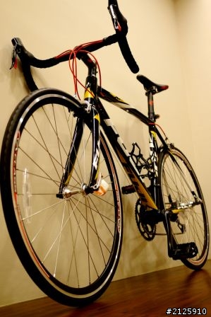 邁向公路車~Fuji Roubatx 2.0