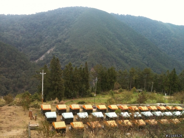 深秋露營地點請益(11/2更新為4天3夜'武陵+福壽山' 圖多)