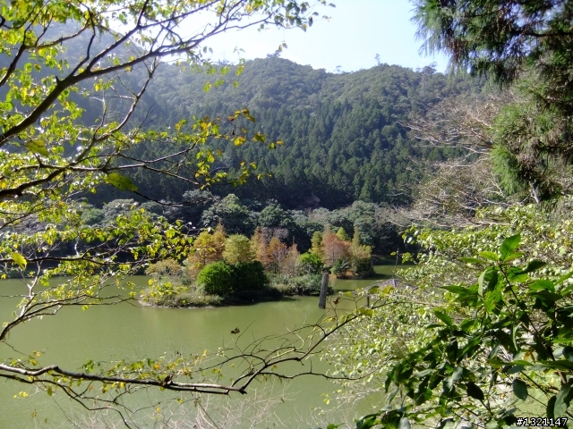 2012明池楓情