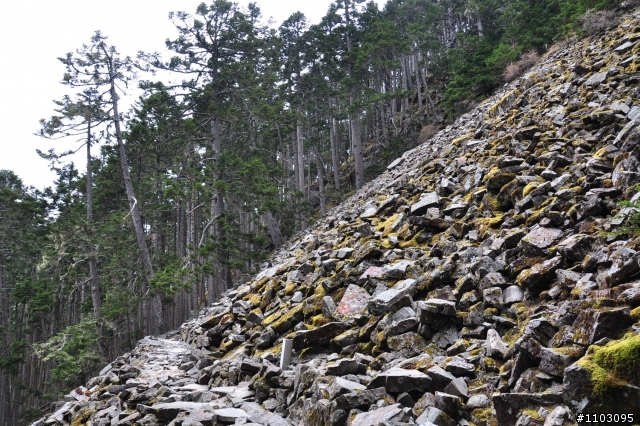 20121118~20 雪山東峰主峰~在半夜三更的黑森林hold不住了之旅~