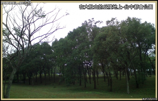 台中大肚山之綠園道.華山路嬉遊記