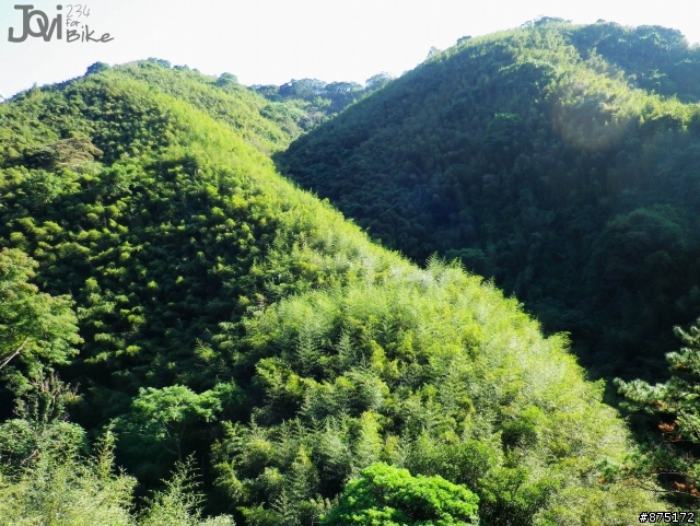 [路線]浮洲橋>三峽>桃園/復興>羅馬公路..95km