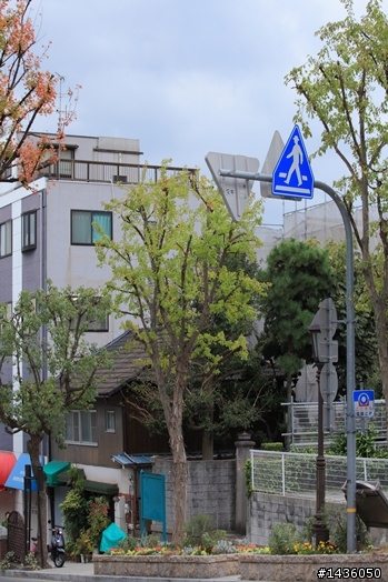 京阪神奈旅拍分享