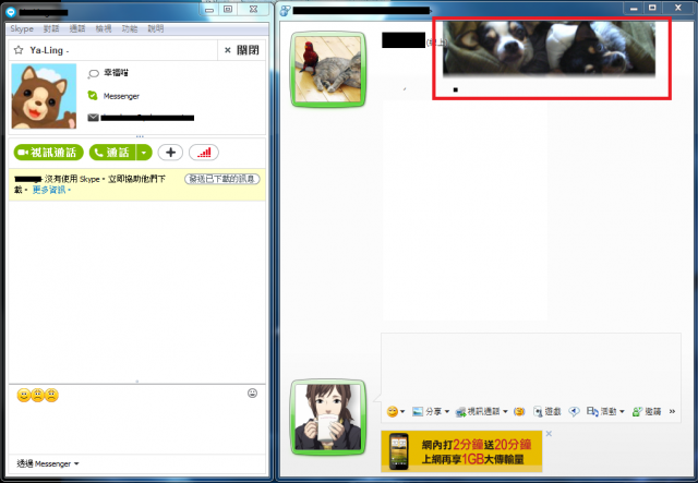 MSN與Skype整合之後.....
