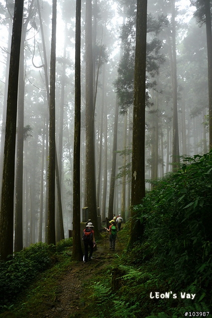 [分享] 國家步道‧大凍山