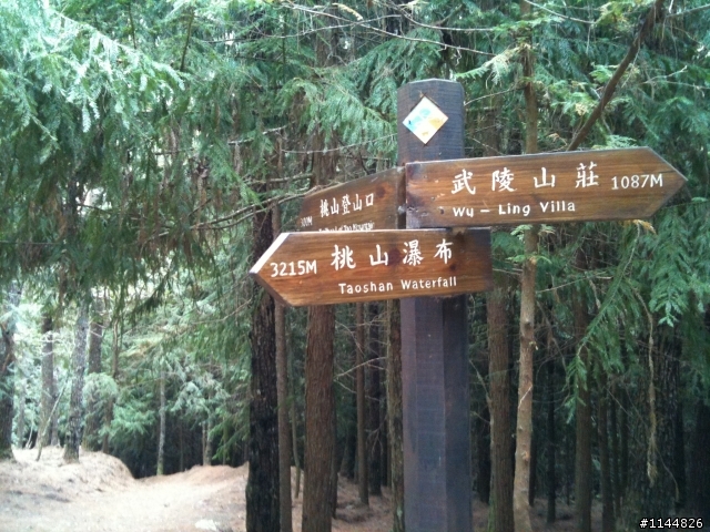 深秋露營地點請益(11/2更新為4天3夜'武陵+福壽山' 圖多)