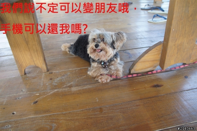 小琉球之旅 之快還老娘手機