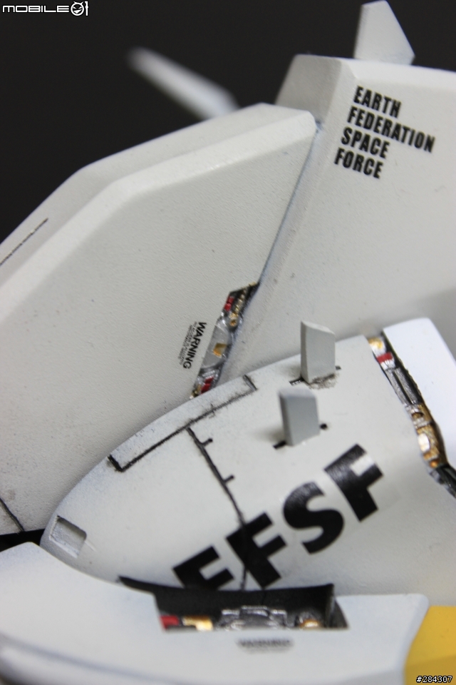 所羅門啊，我回來了！