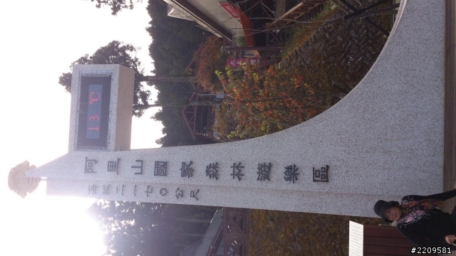 菜鳥遊記分享[高雄阿里山夜遊]