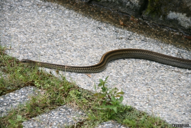 (9/18~9/28) (意外的夥伴加入)10天9夜四極點加地理中心環島 - DAY3