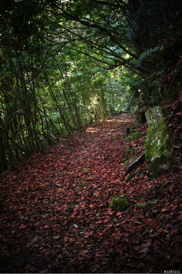 霞喀羅古道-清泉往石鹿登山口的高遶路線(1)及(2)合併圖