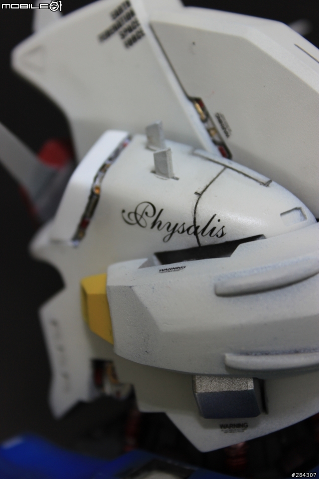 所羅門啊，我回來了！