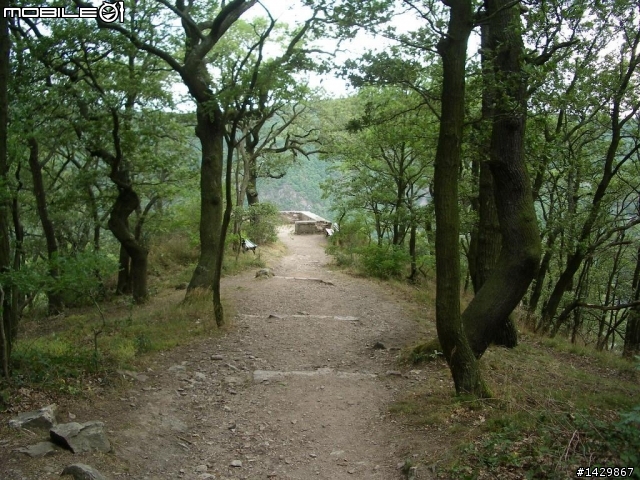 [ 硬漢走天涯 ] 路德斯海姆