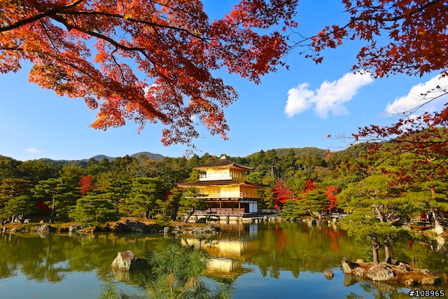 分享：關西～奈良，京都，大阪賞楓自由行（圖多）