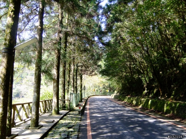 2012明池楓情