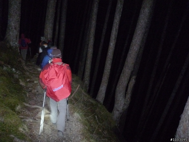 20121118~20 雪山東峰主峰~在半夜三更的黑森林hold不住了之旅~