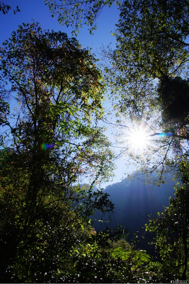 霞喀羅古道-清泉往石鹿登山口的高遶路線(1)及(2)合併圖