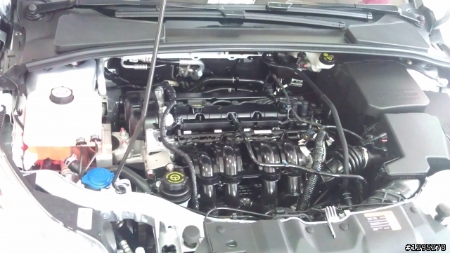 Focus III 2次賞車分享