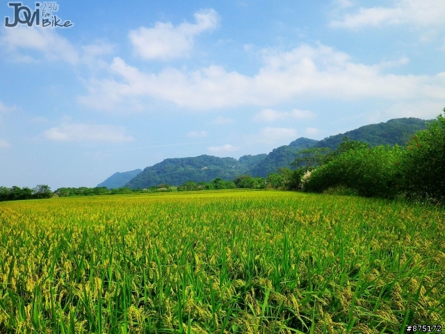 [路線]浮洲橋>三峽>桃園/復興>羅馬公路..95km
