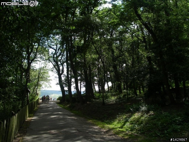 [ 硬漢走天涯 ] 路德斯海姆
