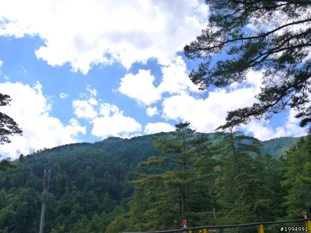 [11/3~11/4] 1D(XX)2D武嶺合歡山主峰攻頂   (圖多話也多 慎入-更新完畢)