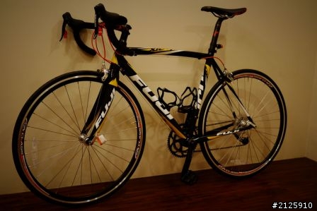 邁向公路車~Fuji Roubatx 2.0