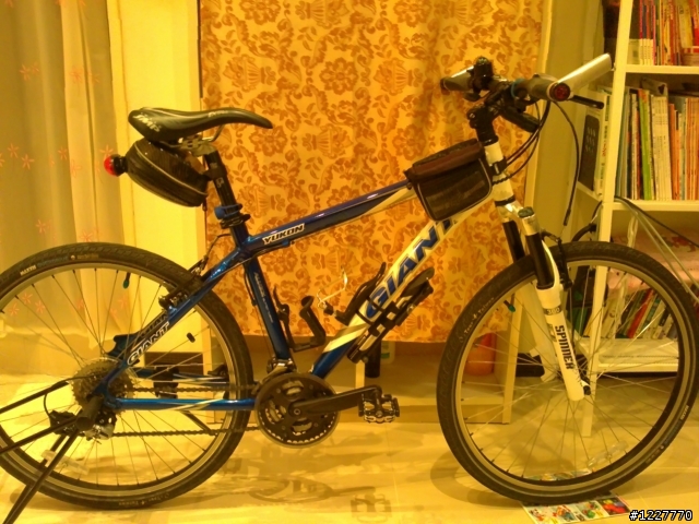 [請益] 正確騎車姿勢? 划船機是否也能鍛鍊到騎單車需要用到的肌肉?