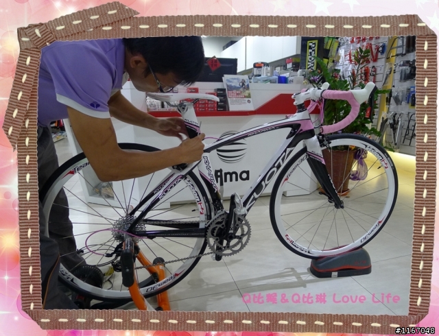 女用公路車～