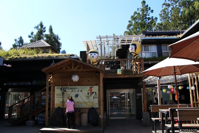 合歡山主峰/武嶺登山一日遊
