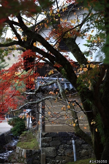 京阪神奈旅拍分享