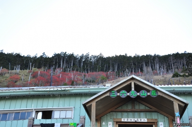 20121118~20 雪山東峰主峰~在半夜三更的黑森林hold不住了之旅~