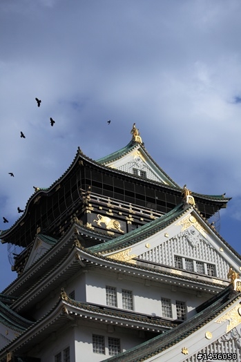 京阪神奈旅拍分享