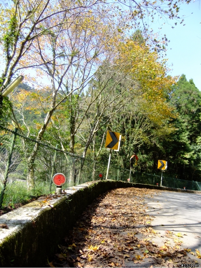 2012明池楓情