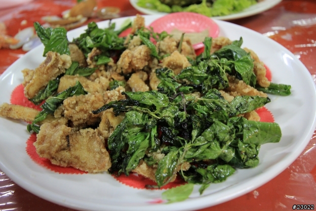 中年騎士10/13~10/18六天另類環台(更新完畢)