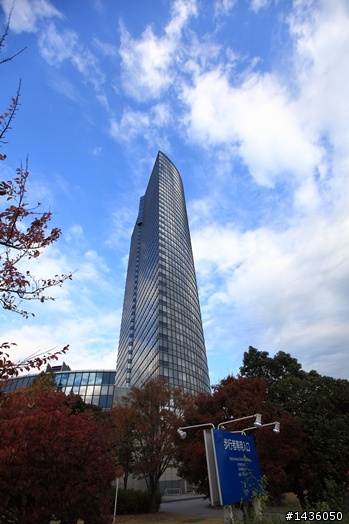 京阪神奈旅拍分享