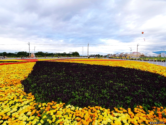 帶著G3，拜訪2012新社花海節