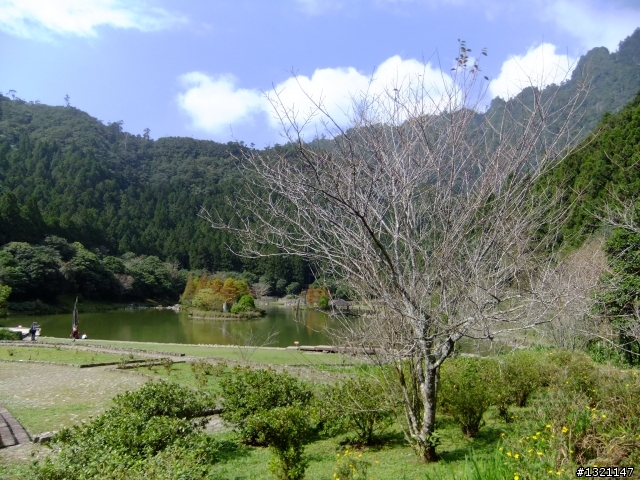 2012明池楓情