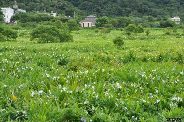 2012暑期半百夫妻、兩人、兩車、四輪--大環島記事簿(7/20~7/31)全文完；後記更新在八樓