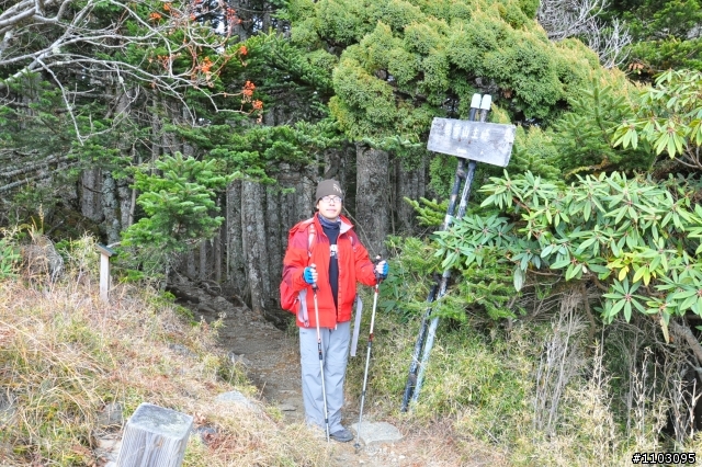 20121118~20 雪山東峰主峰~在半夜三更的黑森林hold不住了之旅~