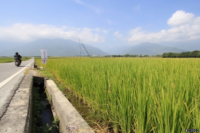 中年騎士10/13~10/18六天另類環台(更新完畢)