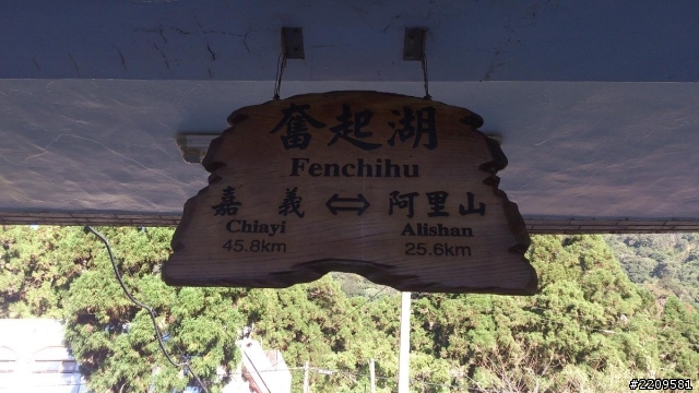菜鳥遊記分享[高雄阿里山夜遊]