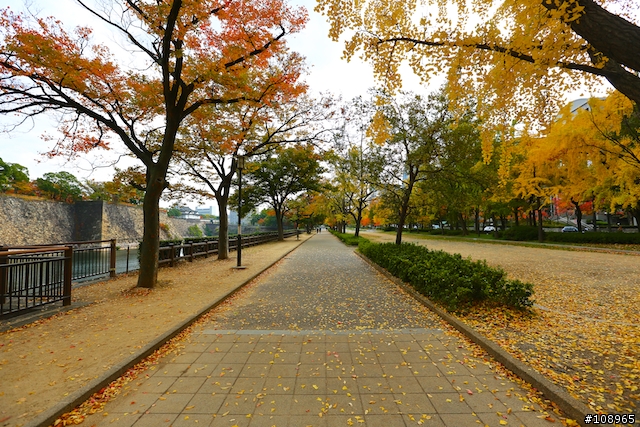 分享：關西～奈良，京都，大阪賞楓自由行（圖多）